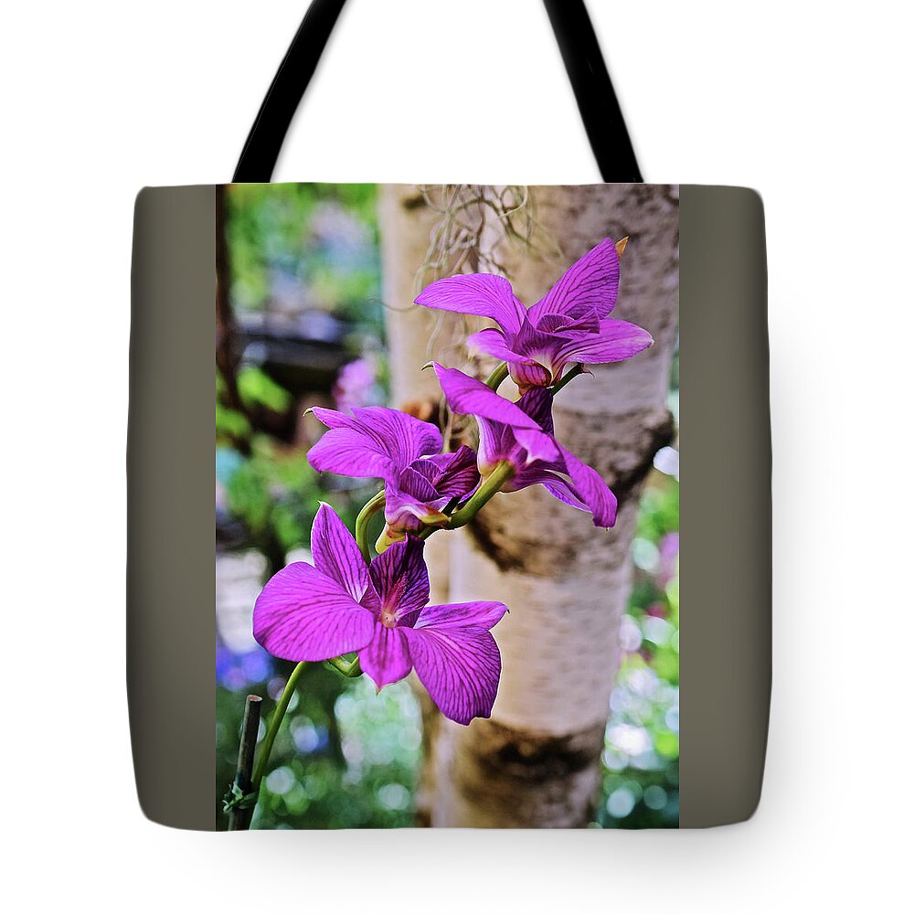 Orchid Tote Bag featuring the photograph 2020 Spring Show Orchid by Janis Senungetuk