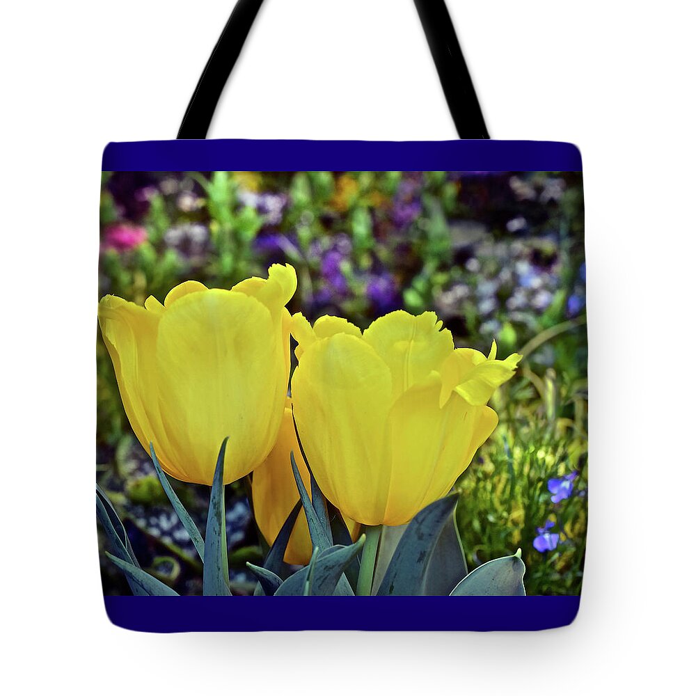Tulips Tote Bag featuring the photograph 2020 Yellow Spring Tulips by Janis Senungetuk