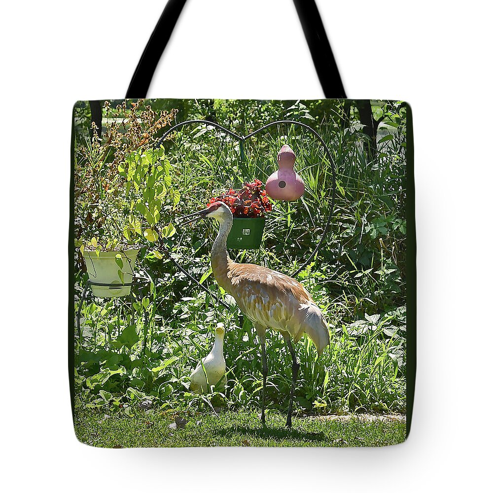 Sandhill Cranes Tote Bag featuring the photograph 2021 August Sandhill Crane by Janis Senungetuk
