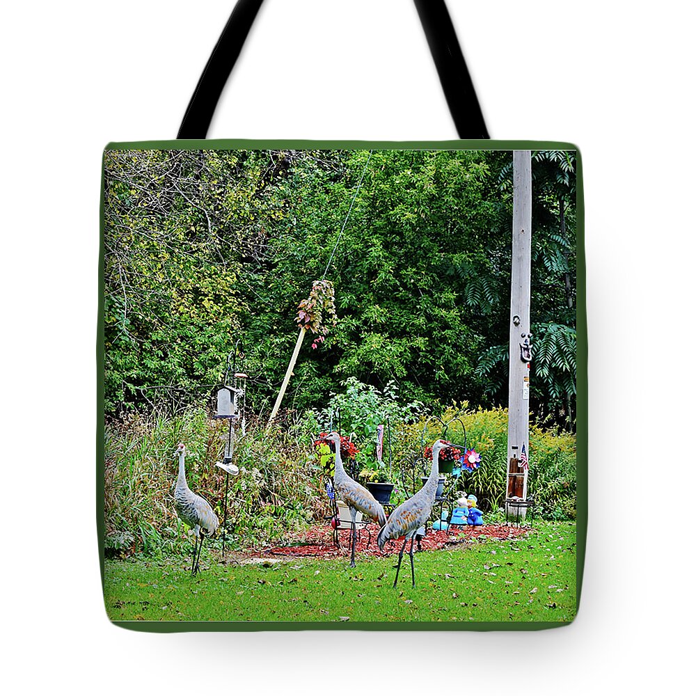 Sandhill Cranes Tote Bag featuring the photograph 2021 Fall Sandhill Cranes 1 by Janis Senungetuk