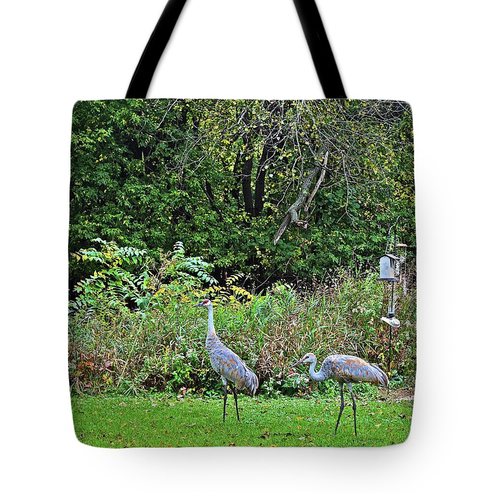 Sandhill Cranes Tote Bag featuring the photograph 2021 Fall Sandhill Cranes 3 by Janis Senungetuk