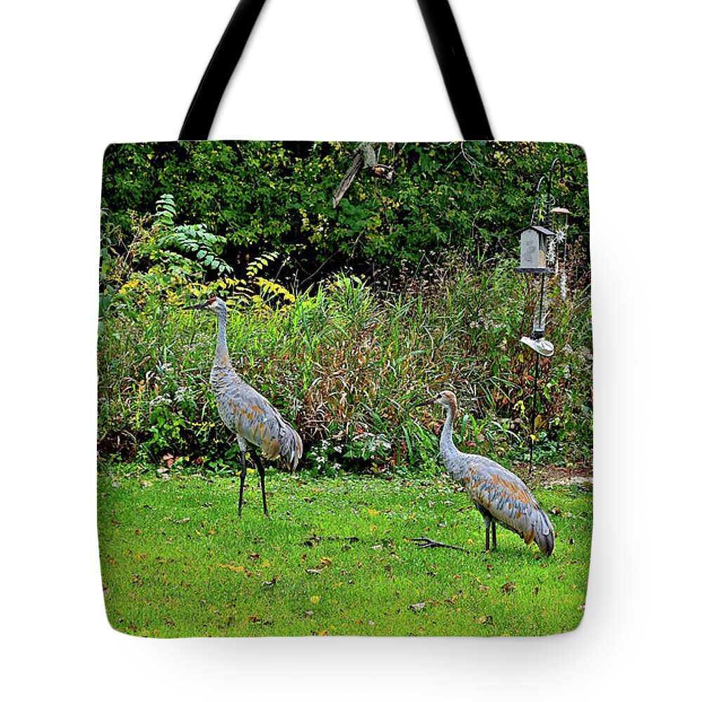 Sandhill Cranes; Birds; Backyard; Tote Bag featuring the photograph 2021 Fall Sandhill Cranes 5 by Janis Senungetuk