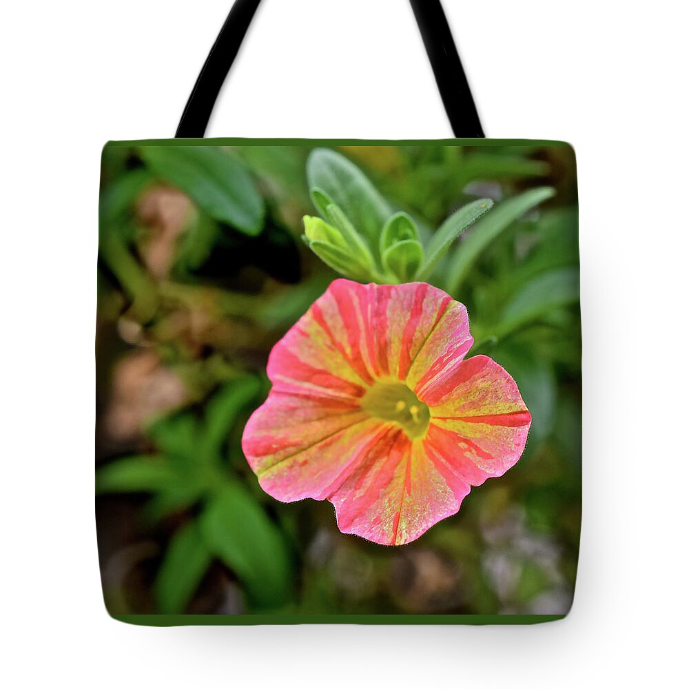Flowers Tote Bag featuring the photograph 2021 Tropical Sunrise Greeting by Janis Senungetuk