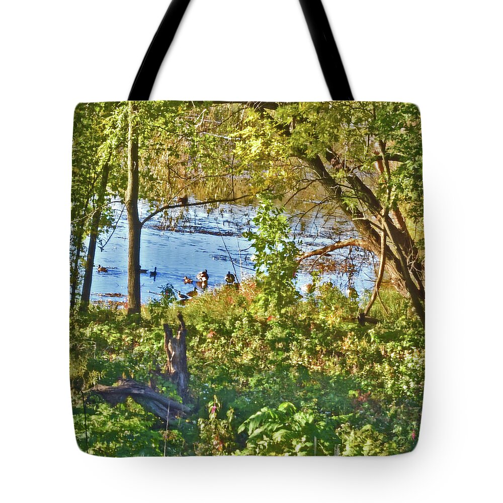 Ducks Tote Bag featuring the photograph 2022 Mid-October Acewood Basin by Janis Senungetuk