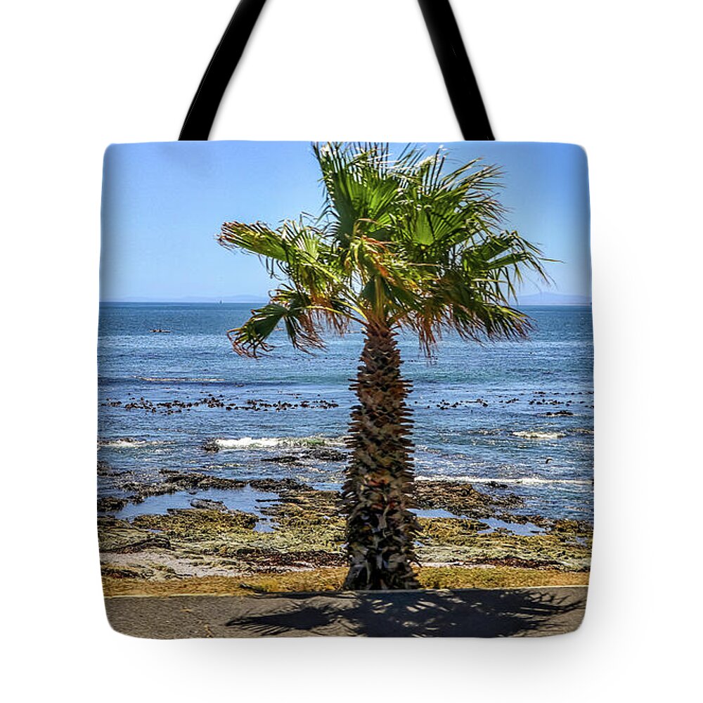 Capetown South Africa Tote Bag featuring the photograph Capetown South Africa #21 by Paul James Bannerman
