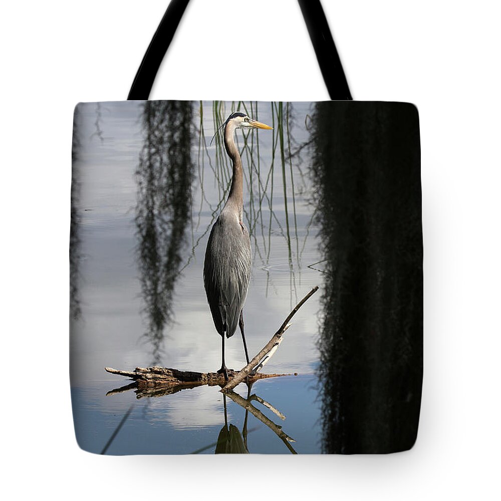 Great Blue Heron Tote Bag featuring the photograph Great Blue Heron Florida #22 by Bob Savage