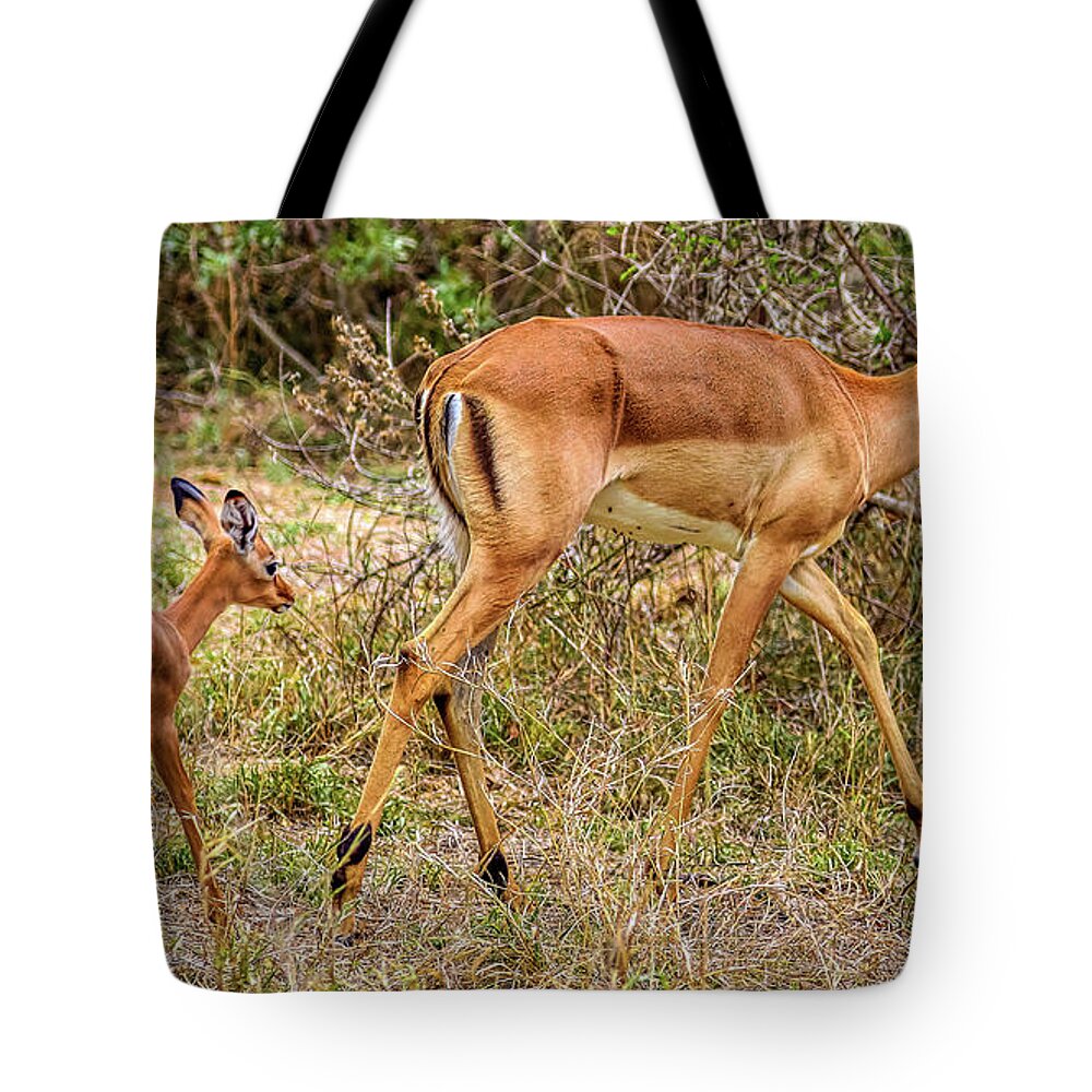 Kruger National Park South Africa Tote Bag featuring the photograph Kruger National Park South Africa #22 by Paul James Bannerman