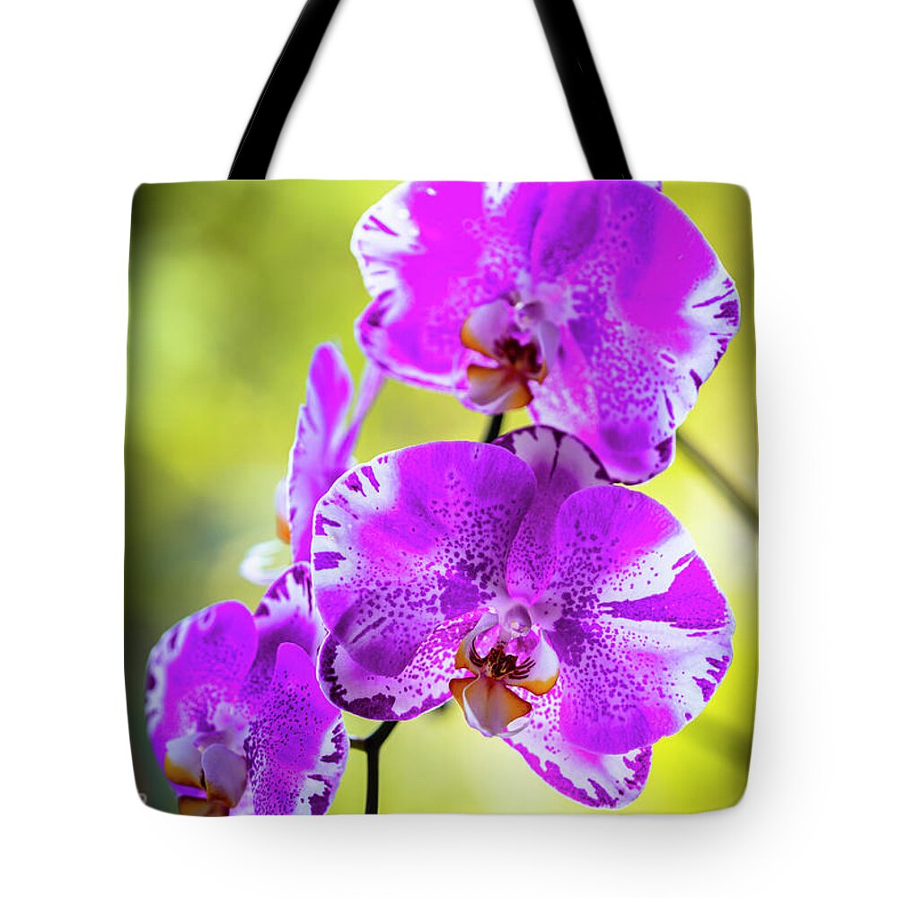 Background Tote Bag featuring the photograph Purple Orchid Flowers #24 by Raul Rodriguez
