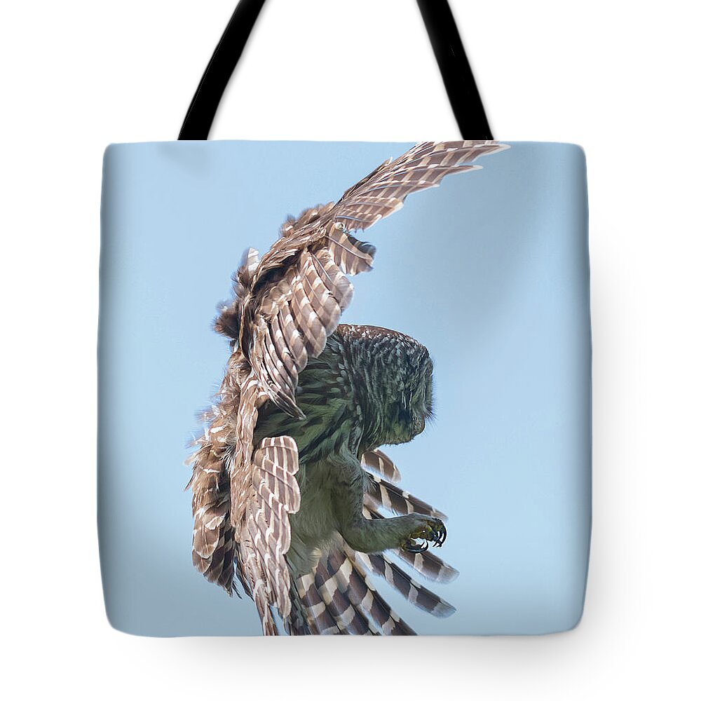 Baby Barred Owls Tote Bag featuring the photograph Formidable Talons by Puttaswamy Ravishankar