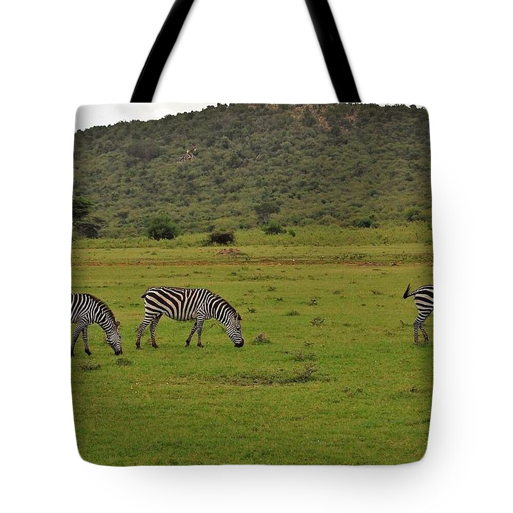  Tote Bag featuring the photograph 25k by Jay Handler