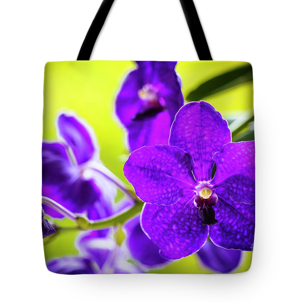 Background Tote Bag featuring the photograph Purple Orchid Flowers #27 by Raul Rodriguez