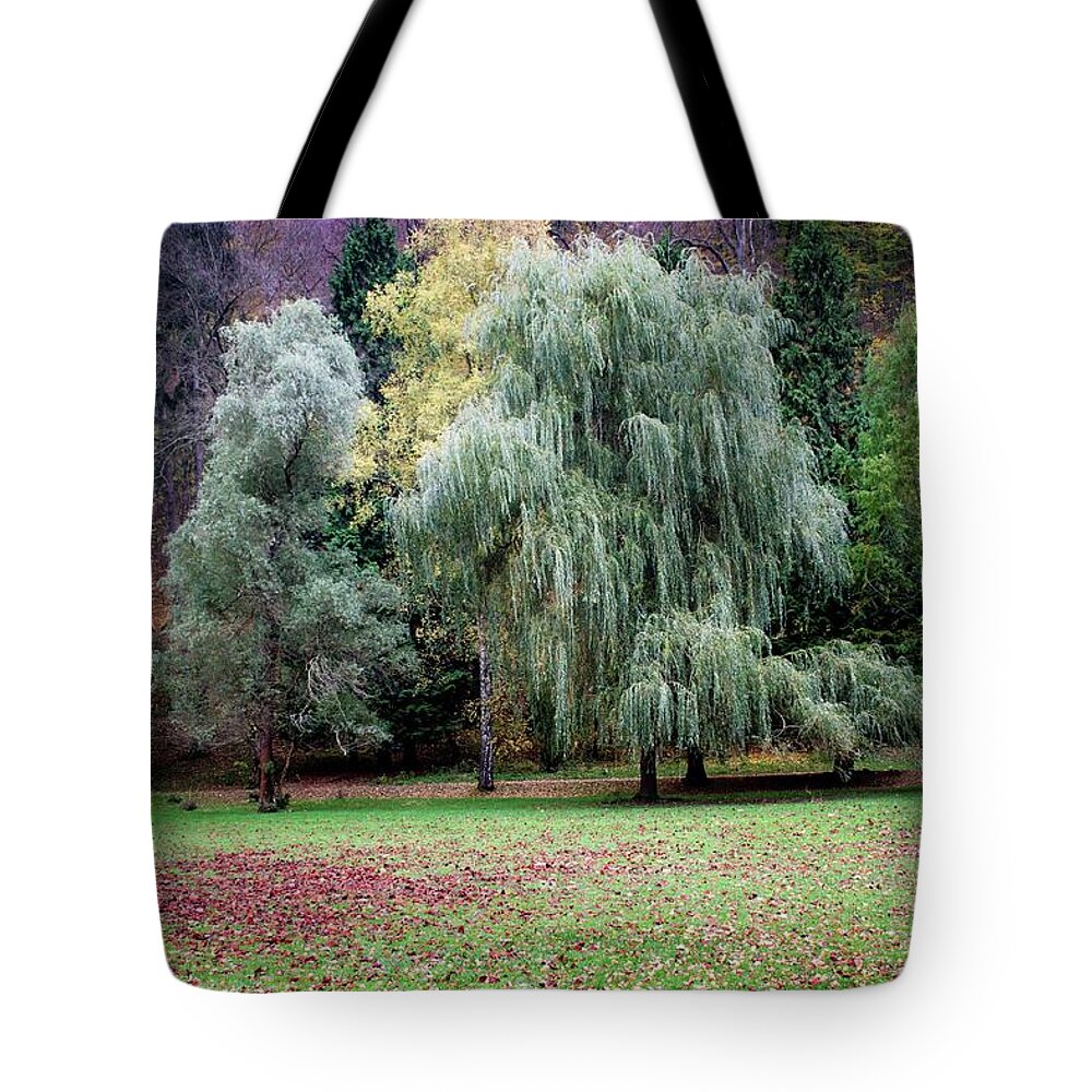 Autumn Tote Bag featuring the photograph Autumn #28 by Robert Grac