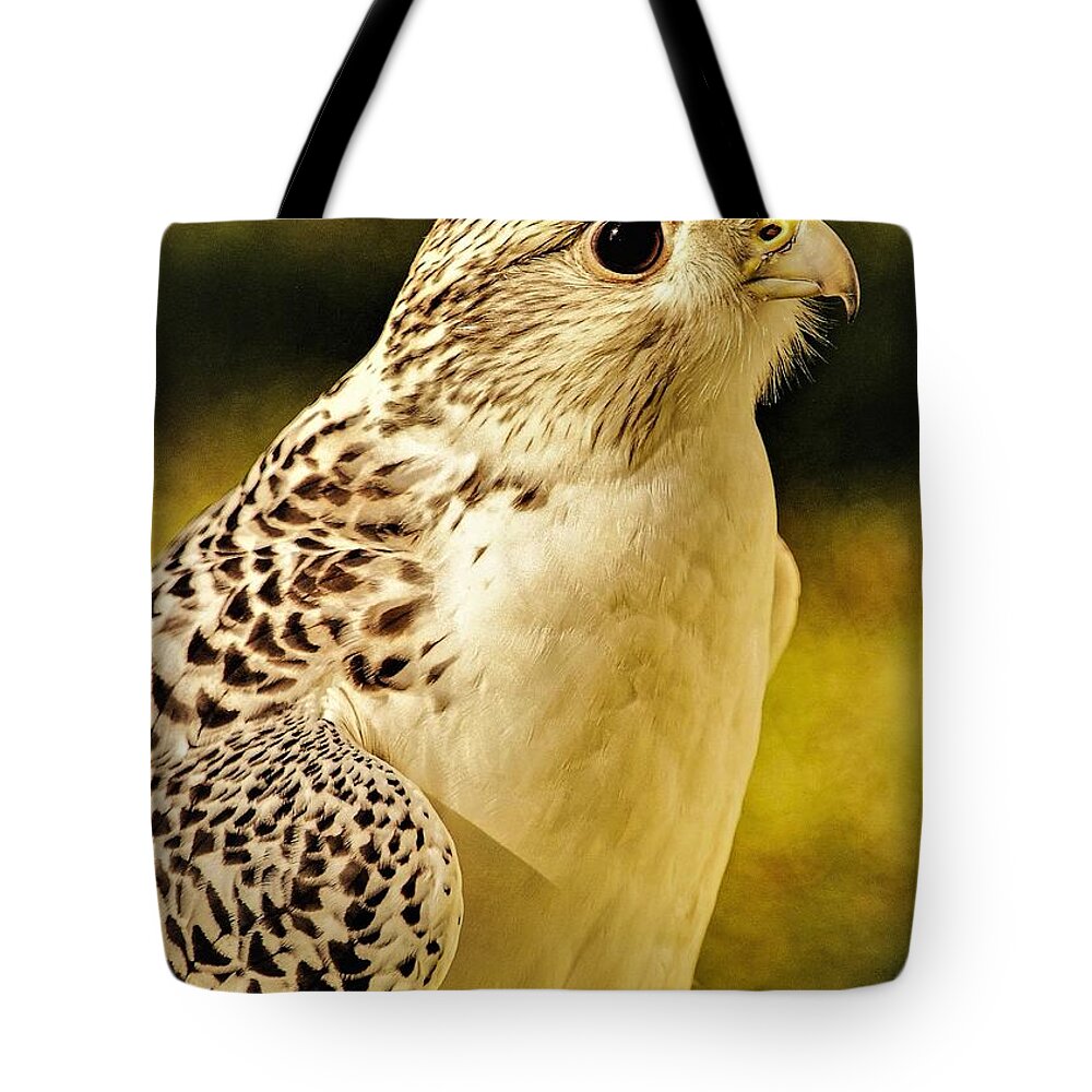 Bird Of Pray Feathers Eye Tote Bag featuring the photograph Bird3 by John Linnemeyer