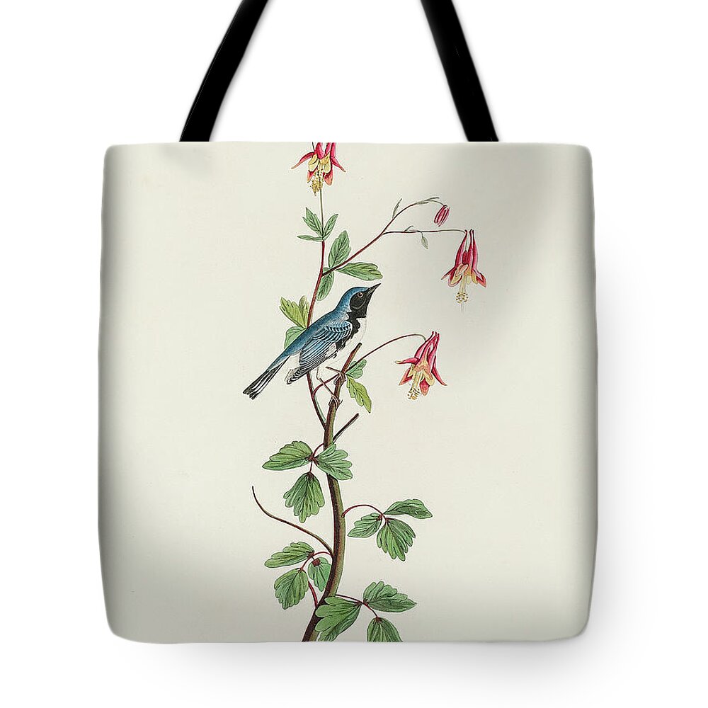 Audubon Birds Tote Bag featuring the drawing Black-throated Blue Warbler #3 by John James Audubon