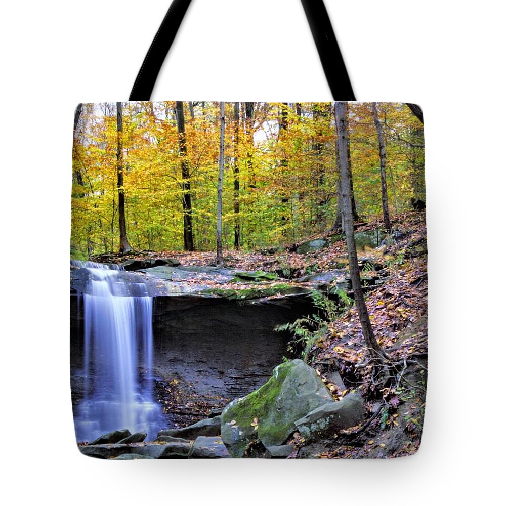  Tote Bag featuring the photograph Blue Hen Falls by Brad Nellis