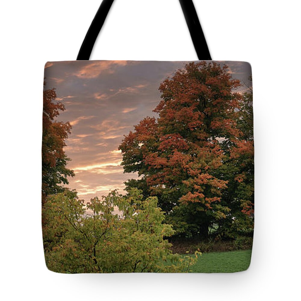 Canada Tote Bag featuring the photograph Fall colors #3 by Nick Mares