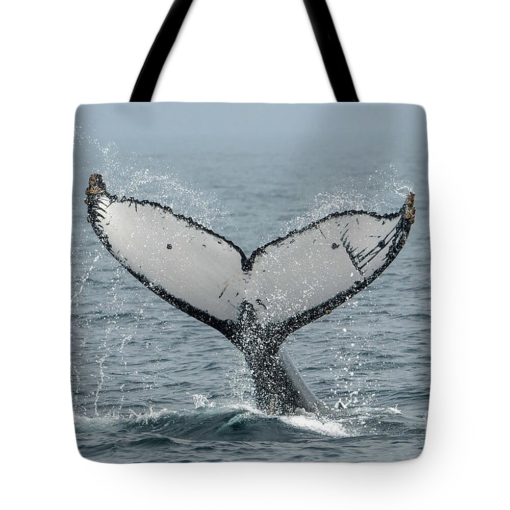 Flukes Tote Bag featuring the photograph Humpback Fluke #3 by Loriannah Hespe