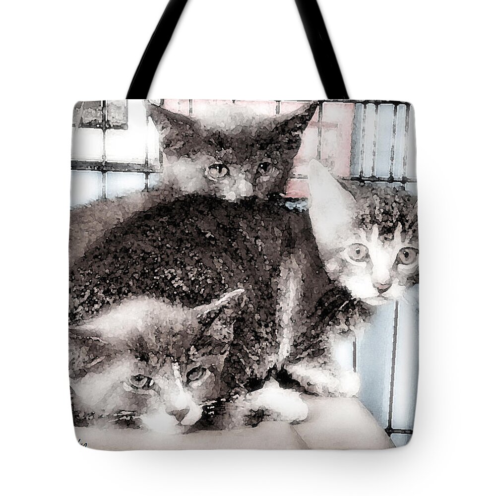 Kittens Tote Bag featuring the painting 3 Kittens by George Pedro
