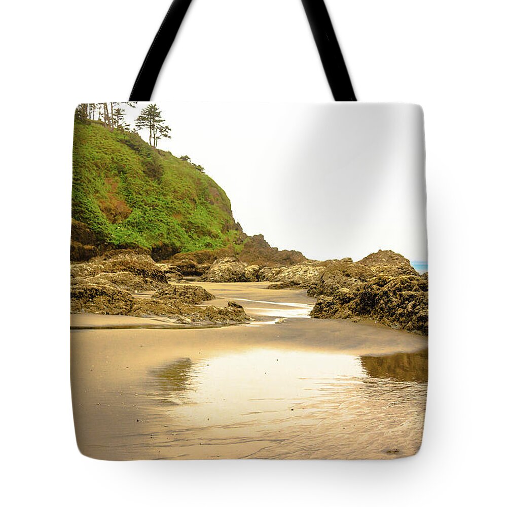 Beach Tote Bag featuring the photograph Morning Light #1 by Robert Bales