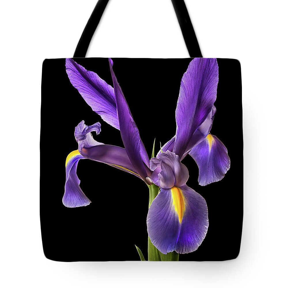 Iris Tote Bag featuring the photograph Purple iris #3 by Endre Balogh