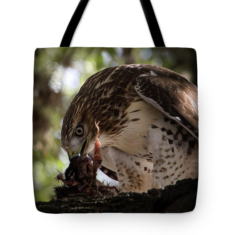 Duck Tote Bag featuring the photograph Red-Tail Hawk With Prey #3 by Rene Vasquez