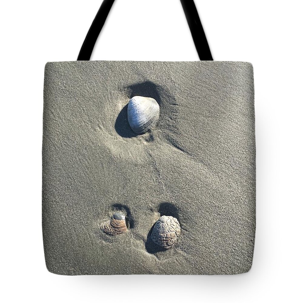 Seashells Tote Bag featuring the photograph 3 Seashells by Mary Kobet