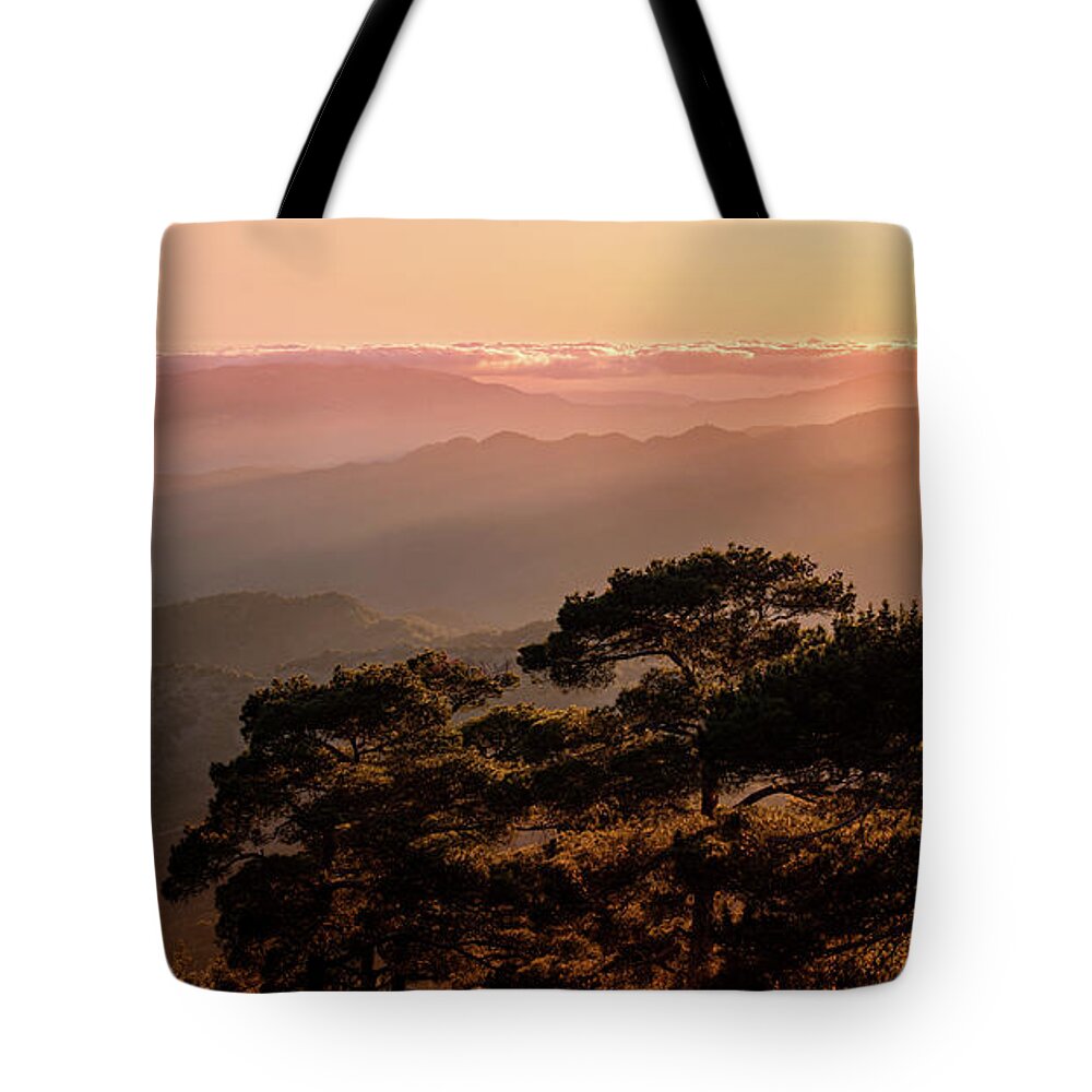 Dawn Tote Bag featuring the photograph Silhouette of a forest pine tree during blue hour with bright sun at sunset. by Michalakis Ppalis
