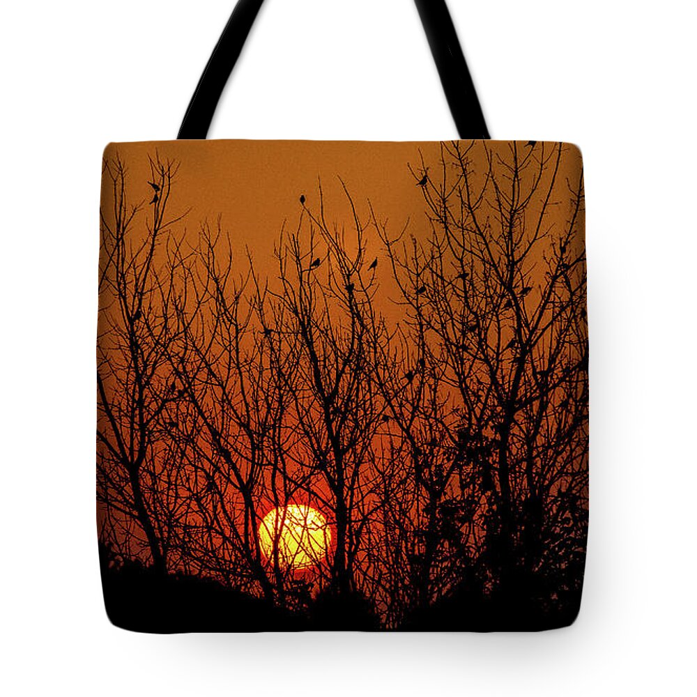 Sunset Lockport Illinois Tote Bag featuring the photograph Sunset in Lockport, Illinois #3 by David Morehead
