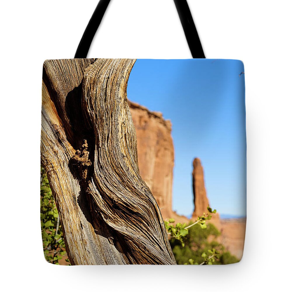 Arches National Park Tote Bag featuring the photograph Arches National Park #32 by Raul Rodriguez