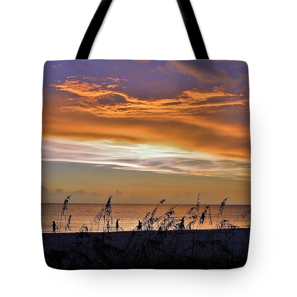  Tote Bag featuring the photograph Naples Sunset #39 by Donn Ingemie