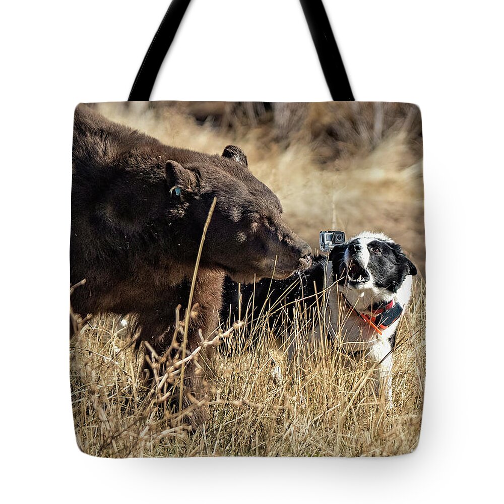  Tote Bag featuring the photograph 3g6a5858 by John T Humphrey