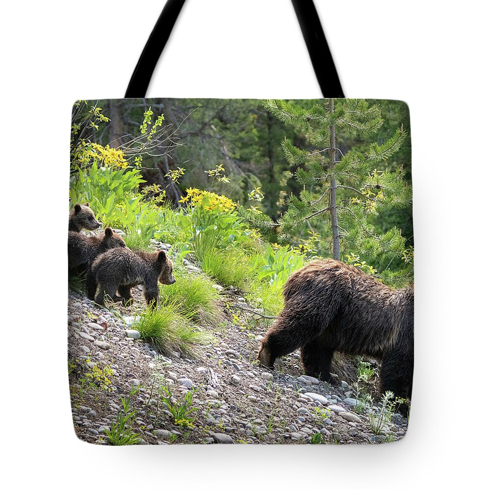 Bear Tote Bag featuring the photograph 4 Cubs with Mama Grizzly Bear #399 by Wesley Aston