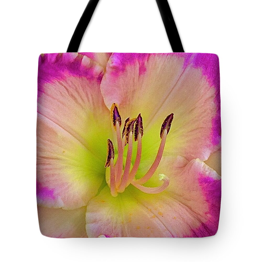 Daylily Tote Bag featuring the digital art Daylily #4 by Tammy Keyes