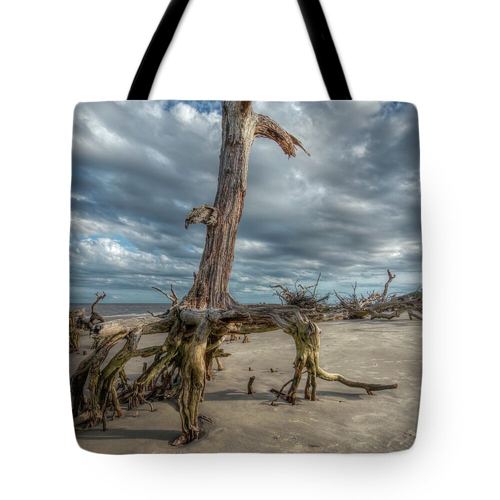Beach Tote Bag featuring the photograph Driftwood Beach #3 by Carolyn Hutchins