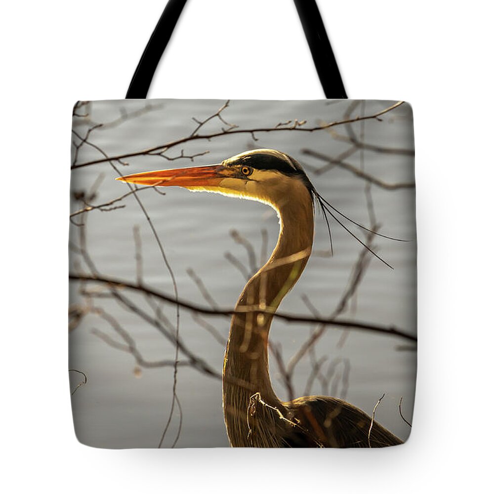 Wildlife Tote Bag featuring the photograph Great Blue Heron #4 by Rick Nelson