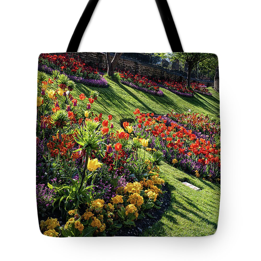 Plant Tote Bag featuring the photograph Guildford Castle Gardens #4 by Shirley Mitchell