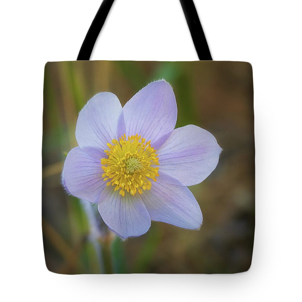 Pasque Flower Tote Bag featuring the photograph Pasque Flower by Bob Falcone