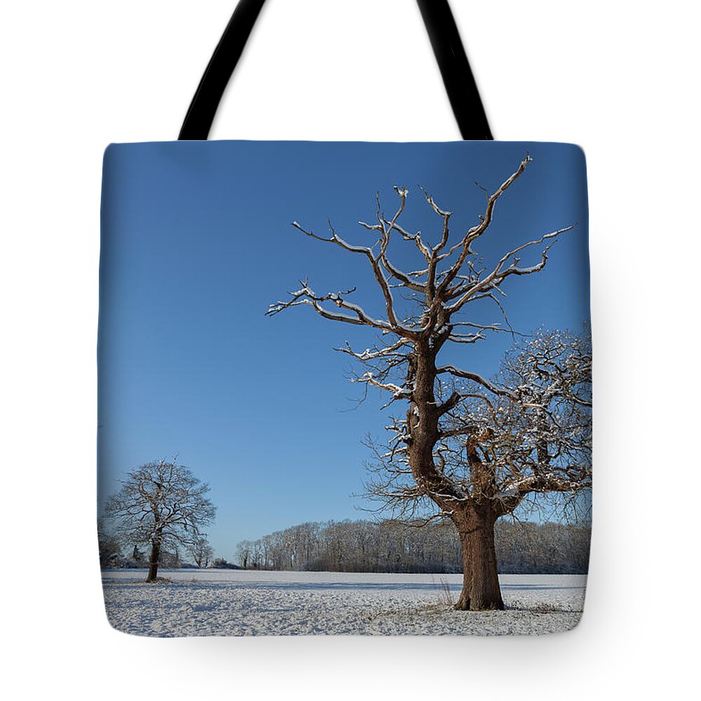 Winter Tote Bag featuring the photograph Winter Wonderland #4 by Nick Atkin