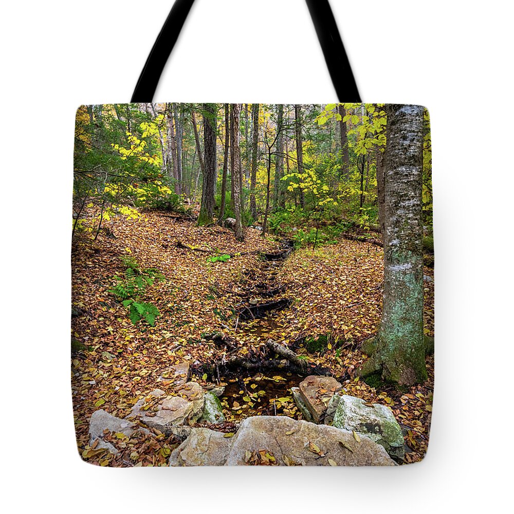 2018 Tote Bag featuring the photograph Appalachian Autumn by Stef Ko