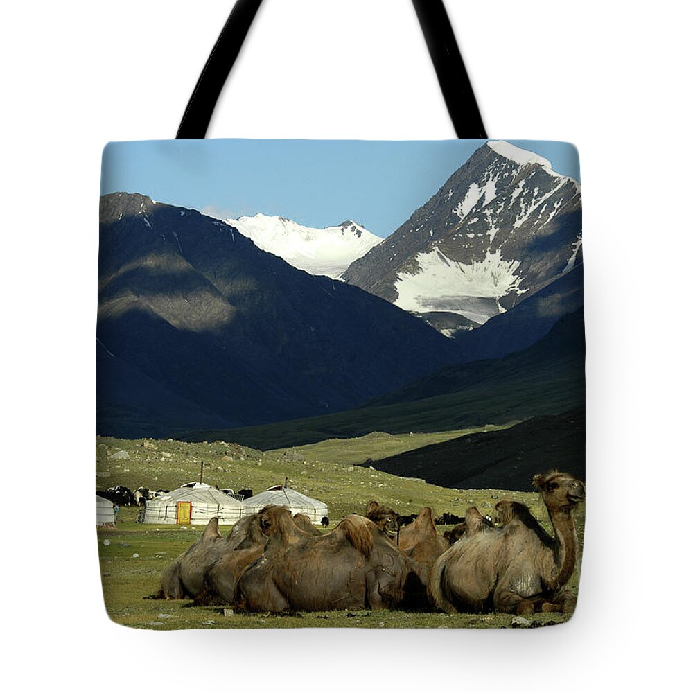 Camels Of Countryside Tote Bag featuring the photograph Colors of Countryside #5 by Elbegzaya Lkhagvasuren