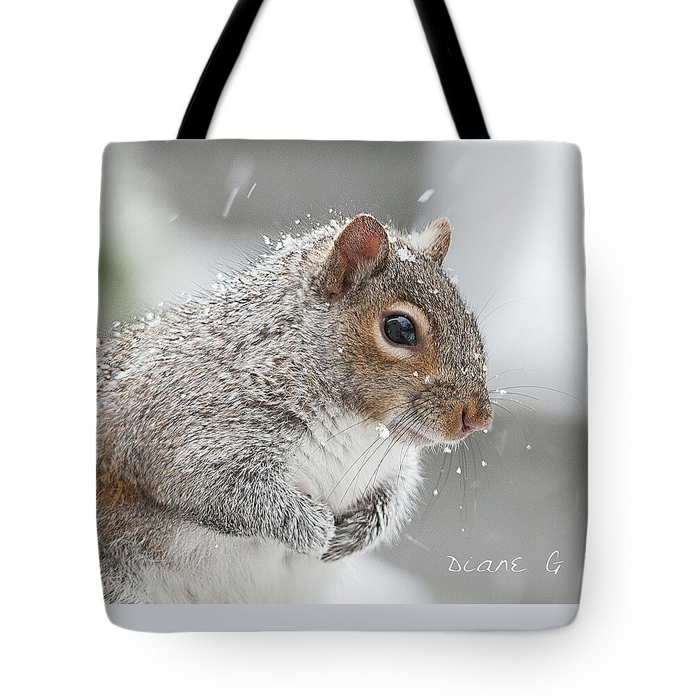 Winter Squirrel Tote Bag featuring the photograph Winter Squirrel #4 by Diane Giurco