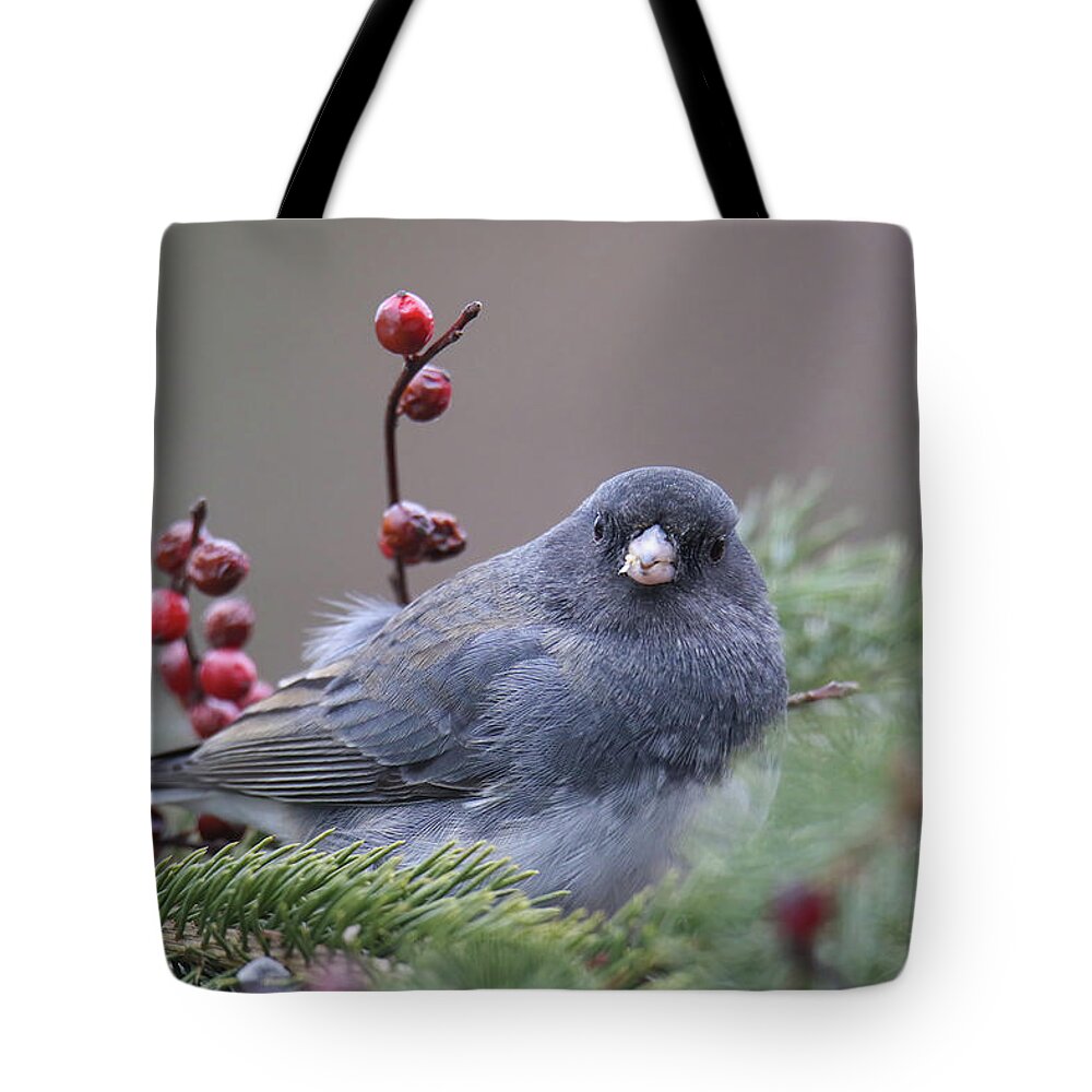 Bird Tote Bag featuring the photograph Dark Eyed Junco #6 by Brook Burling