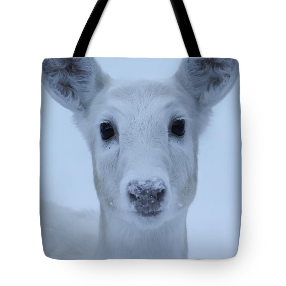 White Tote Bag featuring the photograph White Doe by Brook Burling