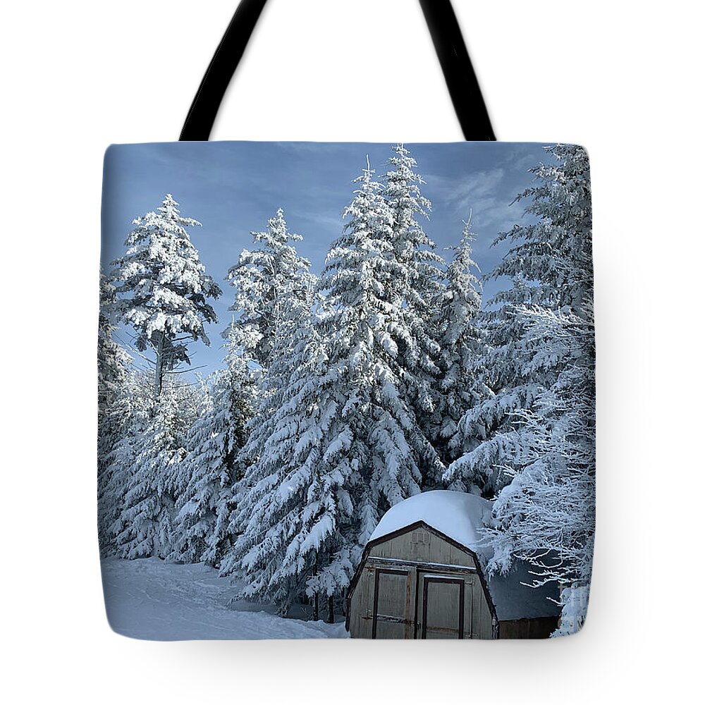  Tote Bag featuring the photograph Winter Wonderland by Annamaria Frost