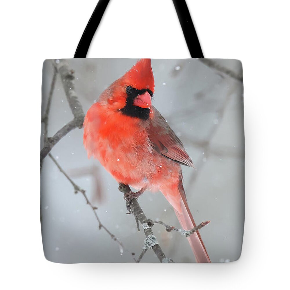 Winter Tote Bag featuring the photograph Winter Cardinal #7 by Brook Burling