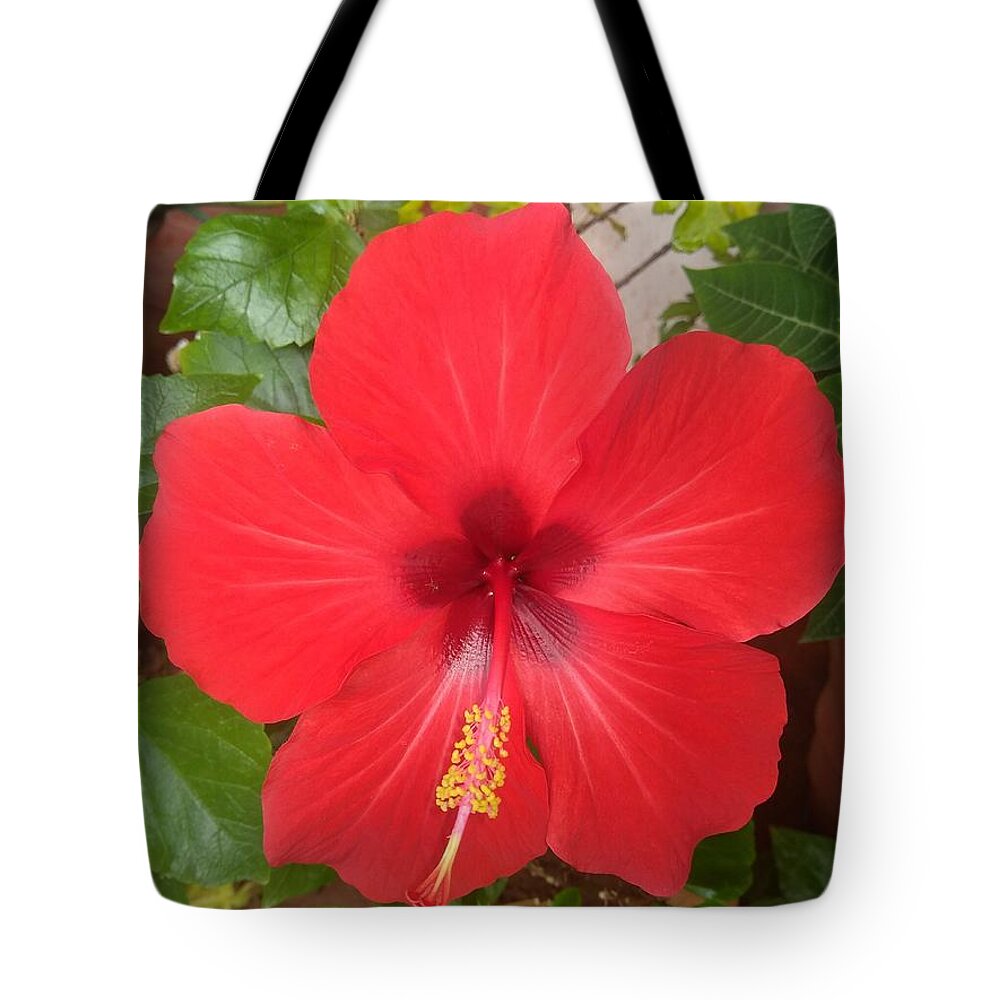  Tote Bag featuring the photograph Hibiscus #1 by Seema Bajaj