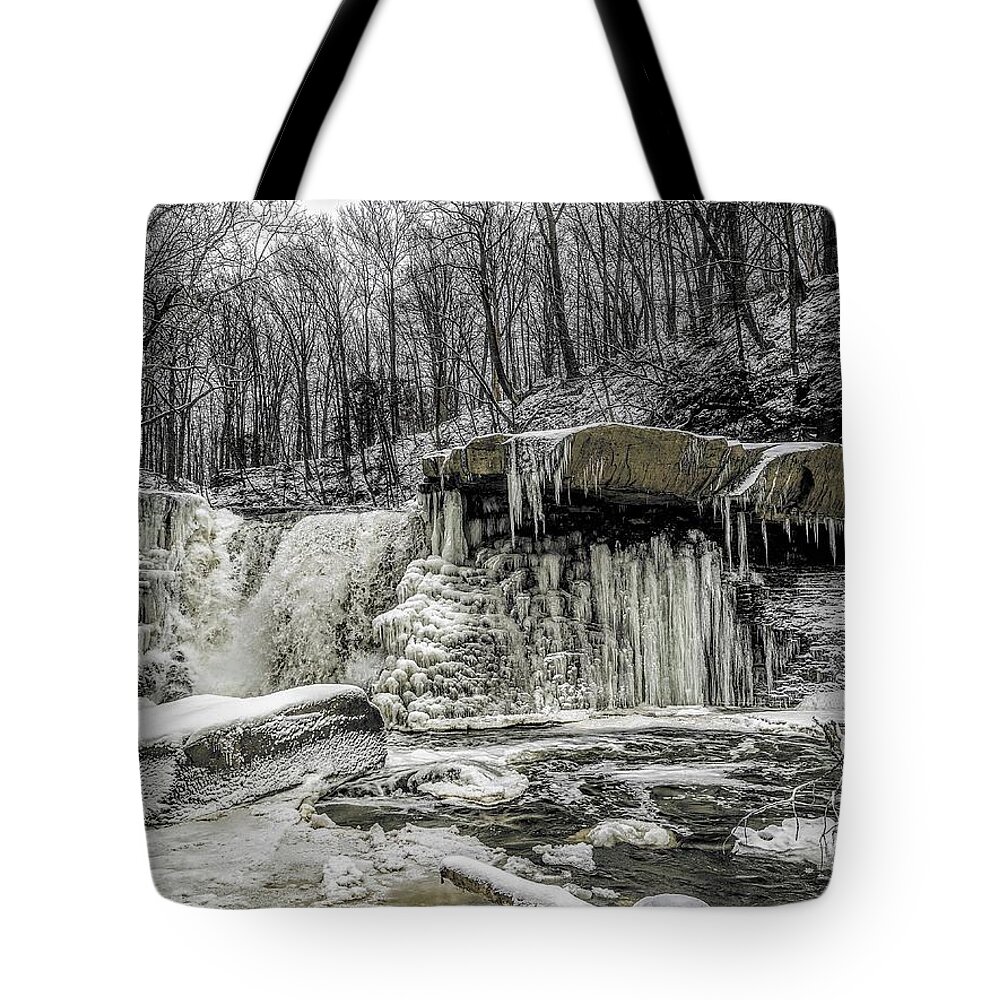  Tote Bag featuring the photograph Great Falls by Brad Nellis