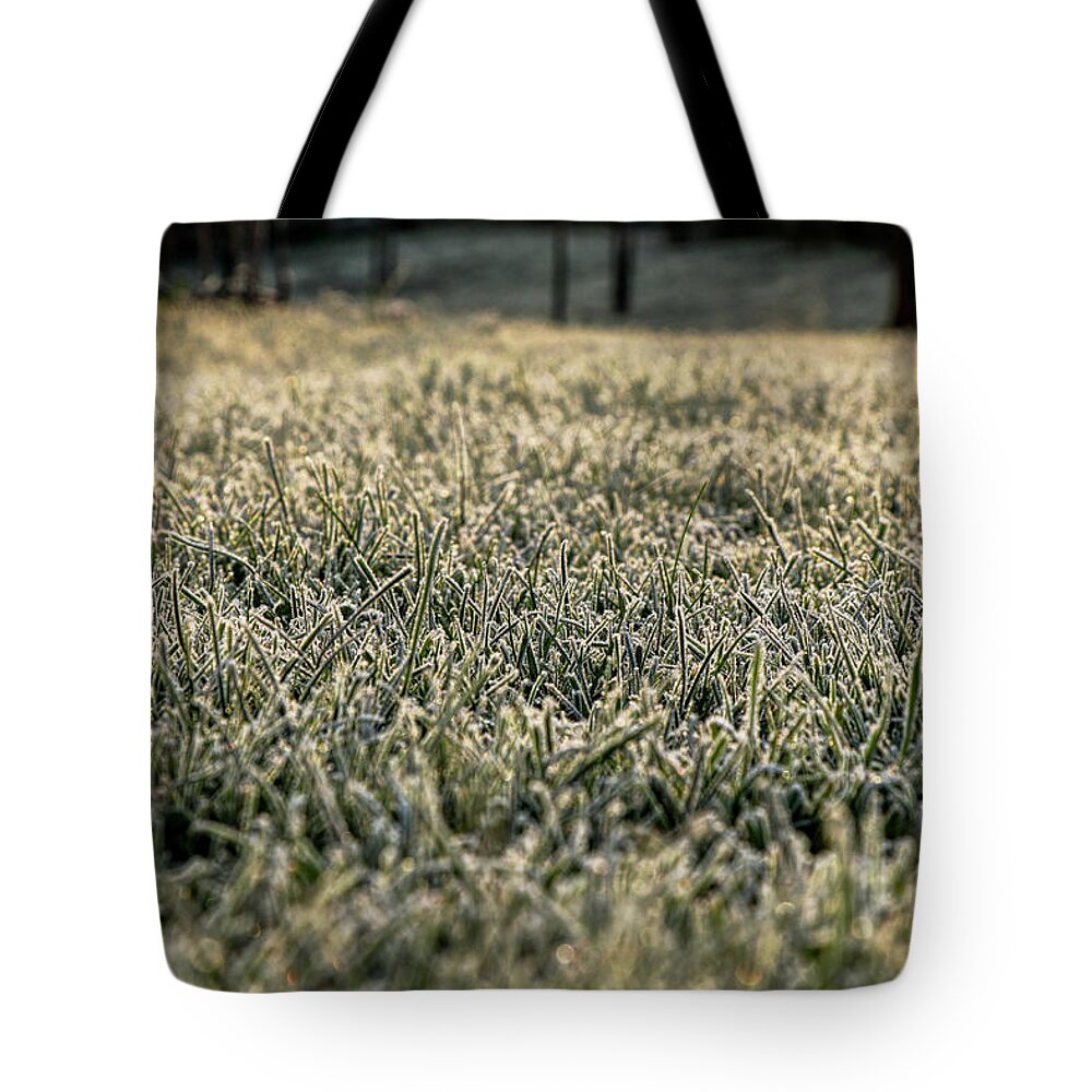 Environment Tote Bag featuring the photograph Frozen green grass by Vaclav Sonnek