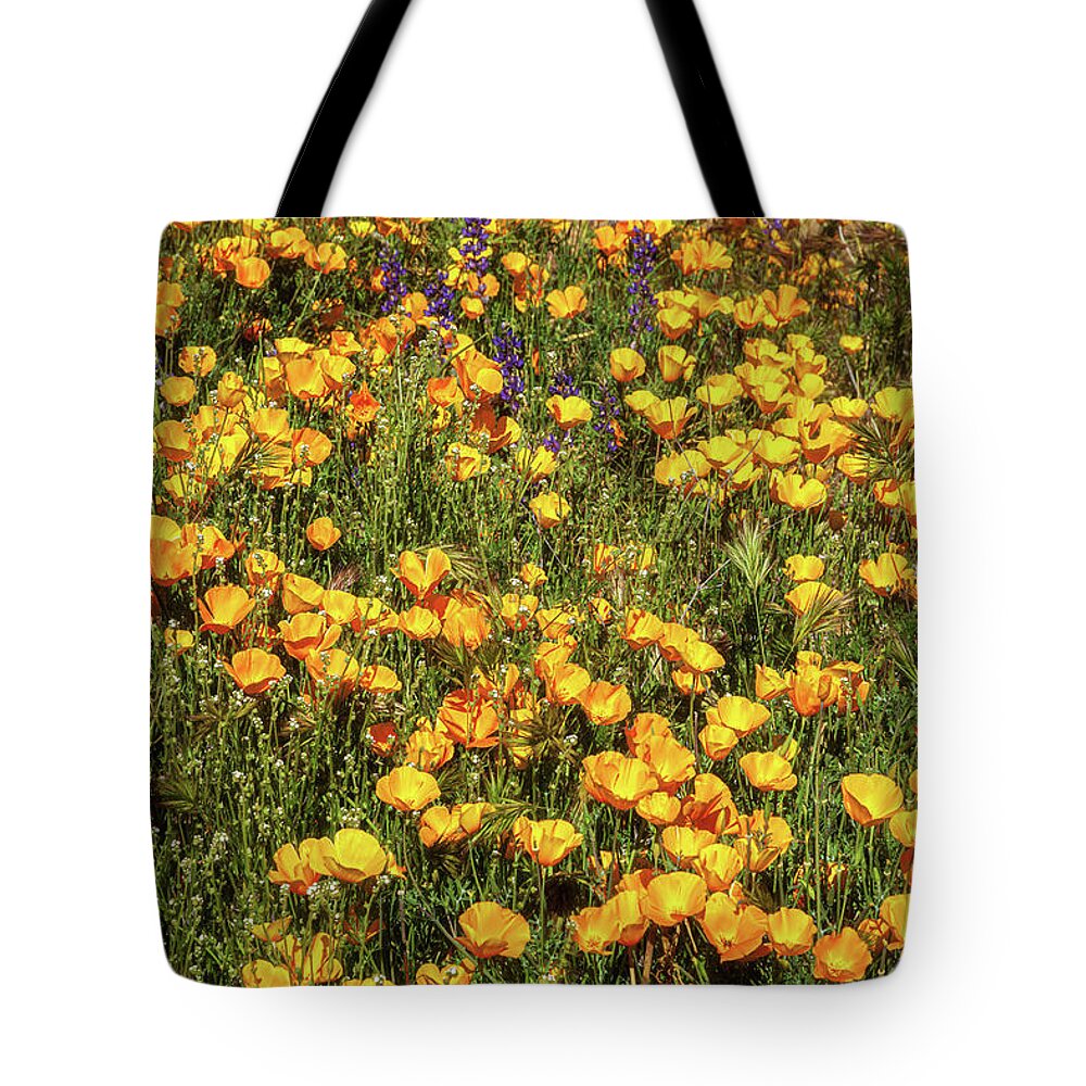 Arizona Tote Bag featuring the photograph A Bed of Gold by Rick Furmanek