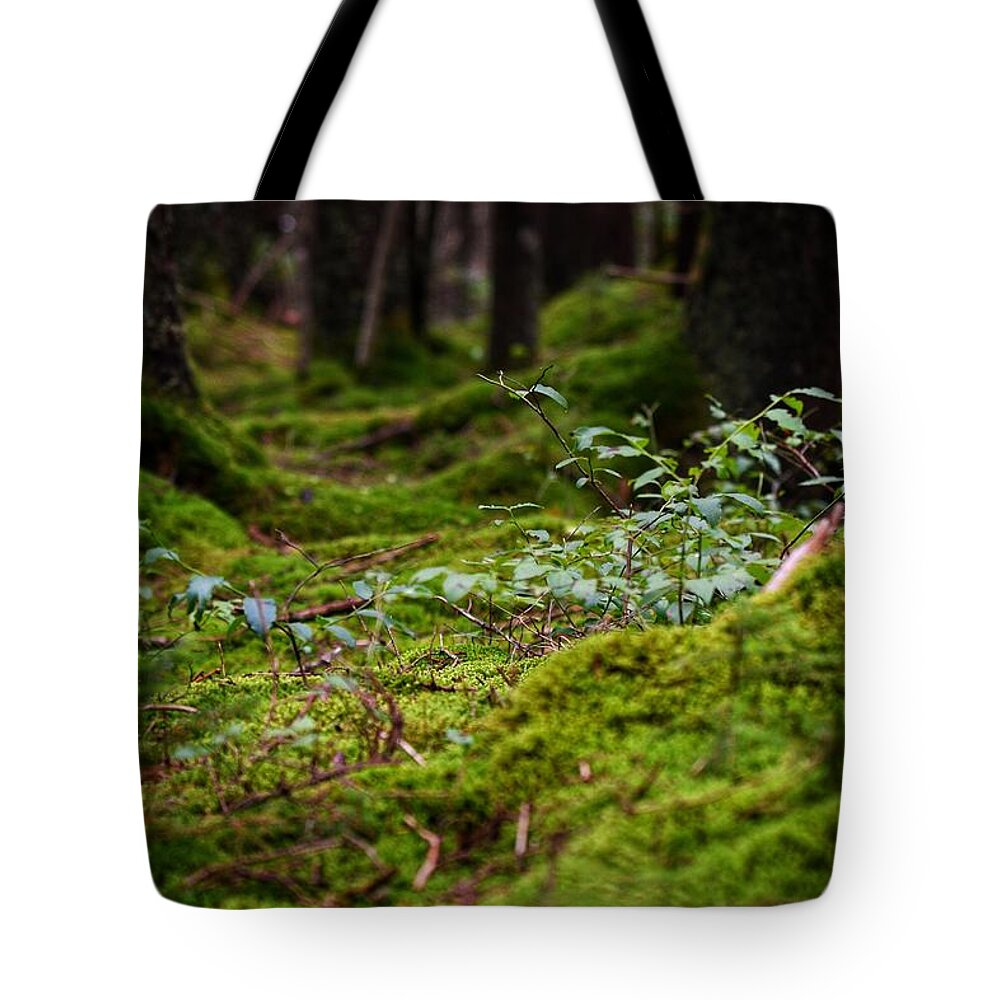 Photo Tote Bag featuring the photograph Moss under the Spruce by Evan Foster